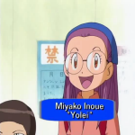 Yolei.png
